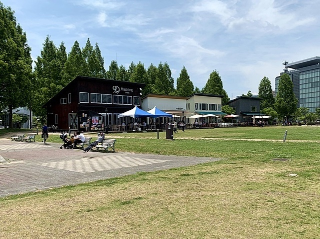 10.JPG