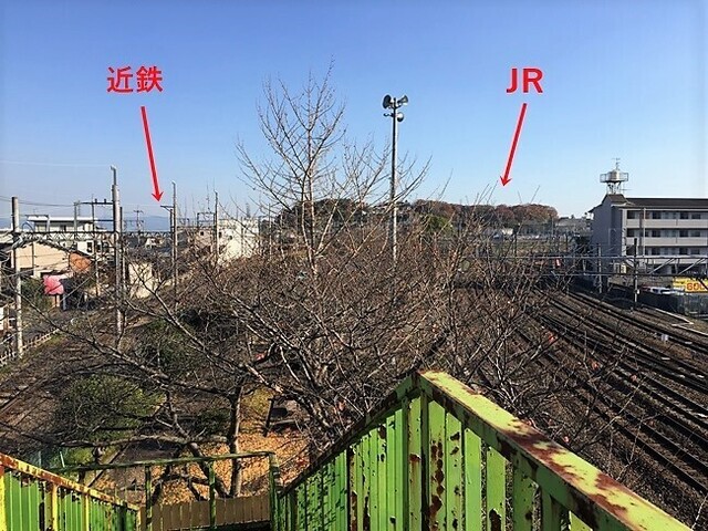 12.jpeg