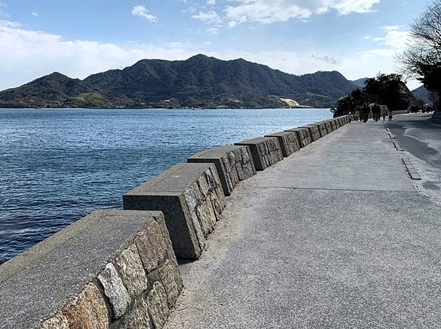 135.JPG