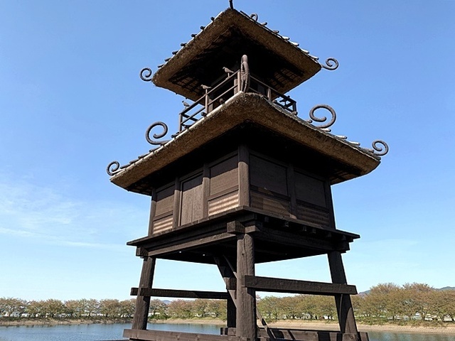 14.JPG