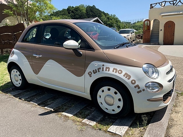 14.JPG