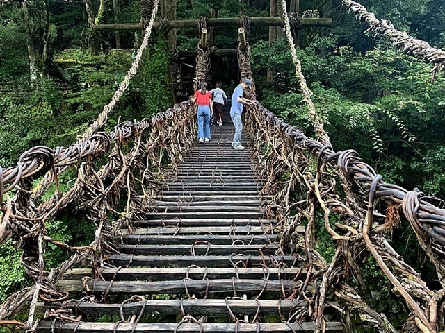 157.JPG
