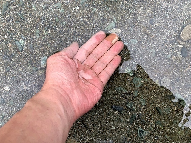 163.JPG