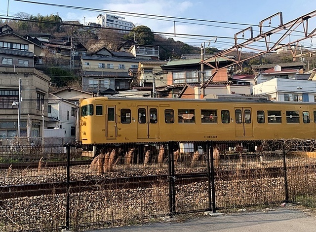 165.JPG
