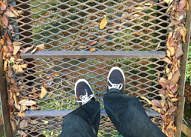 18.JPG