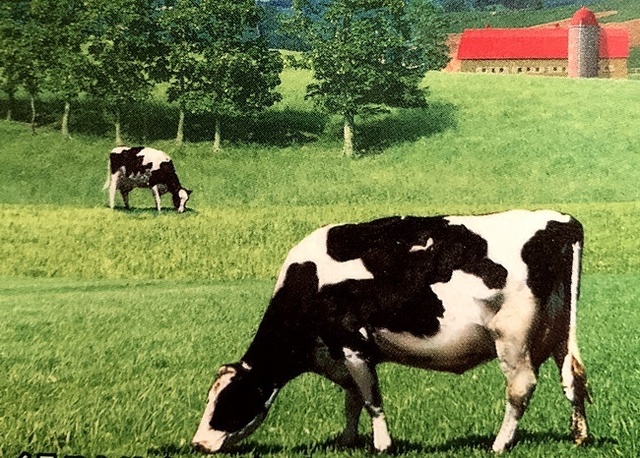 19.JPG