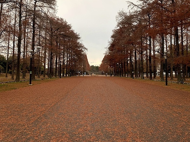 19.JPG