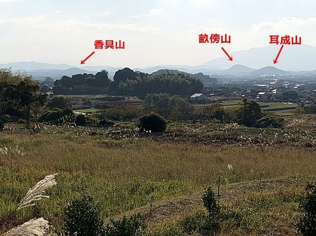 20.JPG