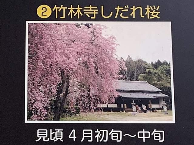 24.JPG