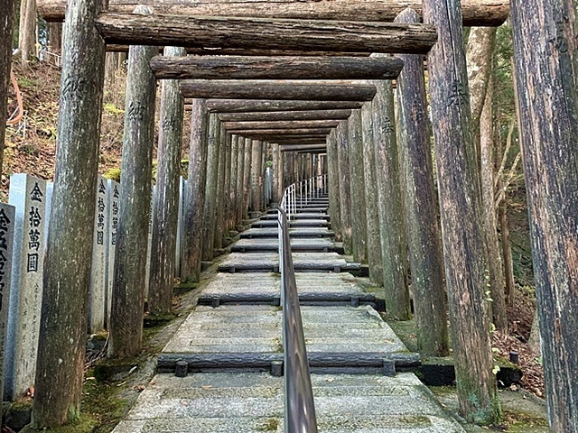 28.JPG
