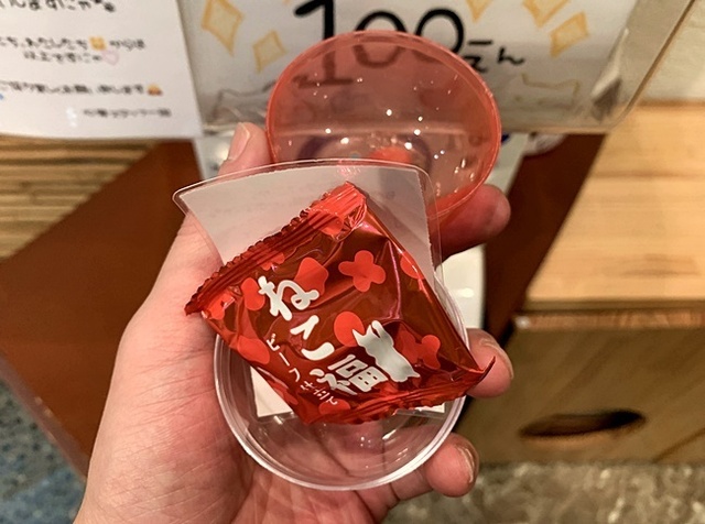 310.JPG