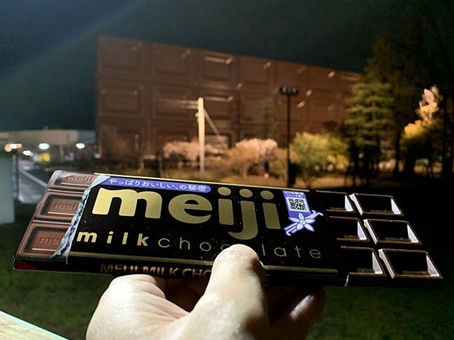 33.JPG