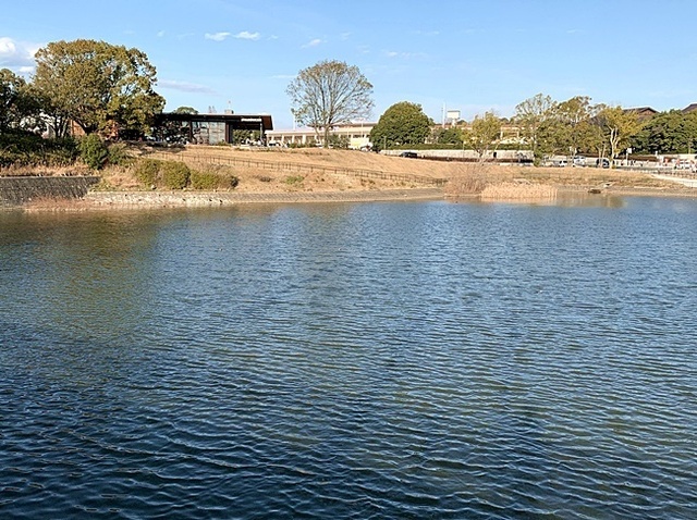 403.JPG