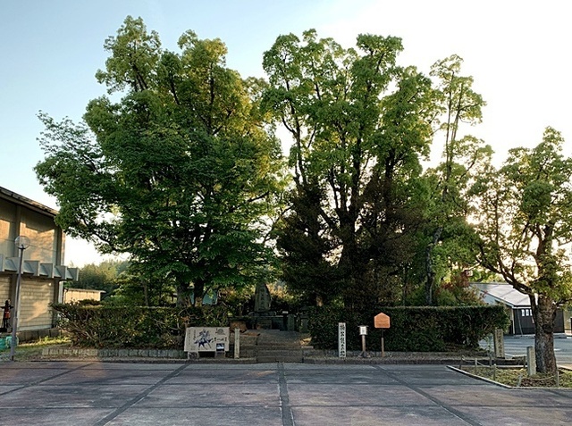 48.JPG