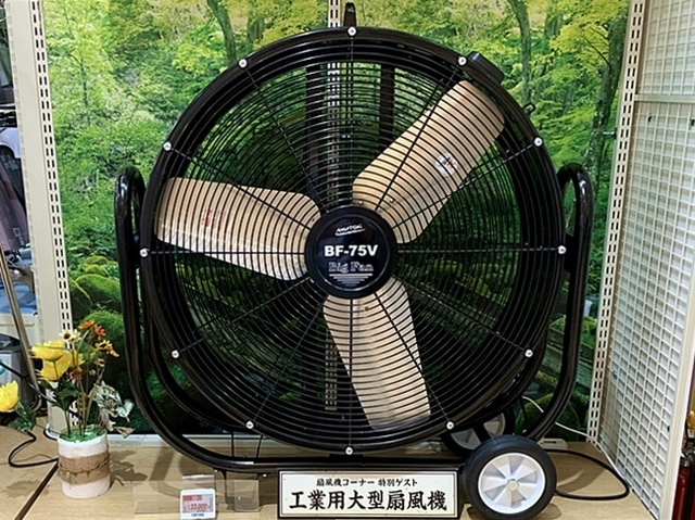 7.JPG