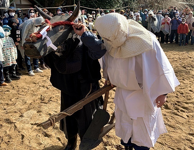 8.JPG