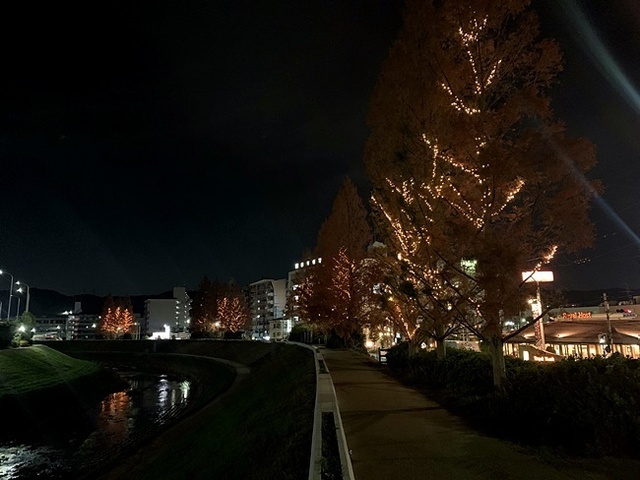80.JPG