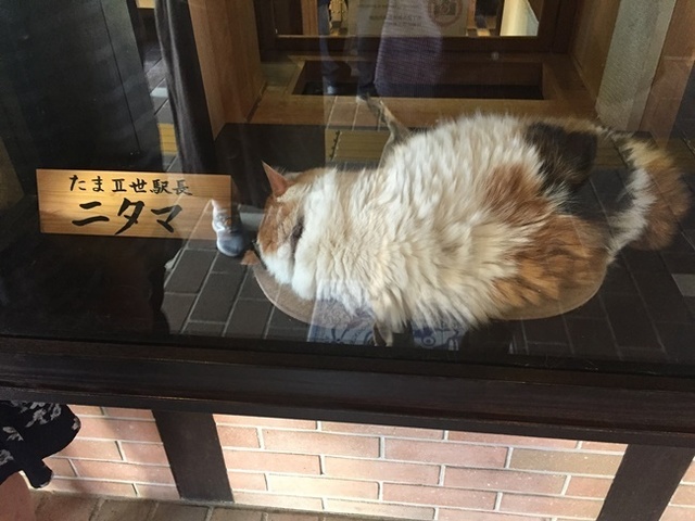 ファイル_002 (3).jpeg
