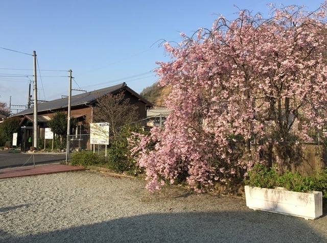 ファイル_008.jpeg