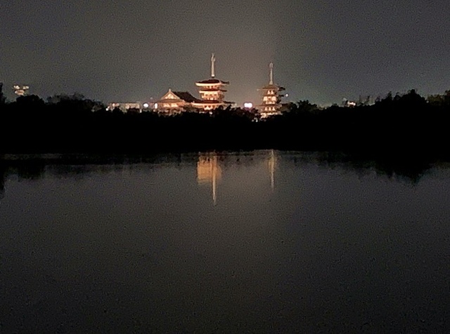 57.JPG