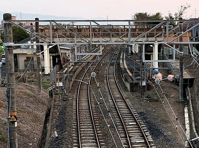 58.JPG